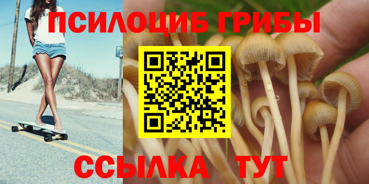 Галлюциногенные грибы Psilocybe  Вход с VPN  Братск 